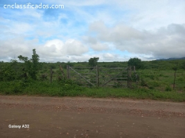 4 hectares cercado e desmatado em S. Vicente-RN R$-32.000,00