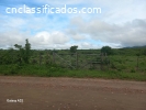 4 hectares cercado e desmatado em S. Vicente-RN R$-32.000,00