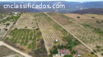 Chácara c\ 3 hectares Serra de Santana R$-330.000,00