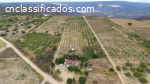 Chácara com Mirante na Serra de Santana R$-330.000,00