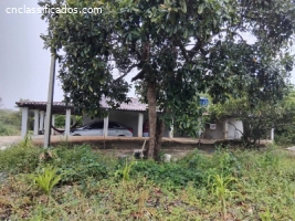 Sítio c/ 6 hectares na área mais alta do RN R$-380.000,00