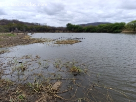 Sitio com 120 hectares em São Vicente/RN R$ 420.000,00