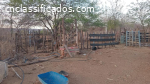 Sitio com 7 hectares a 16 km de C. Novos R$-220.000,00