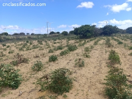 Sitio medindo 10 hectares na Serra de Santana R$370.000,00