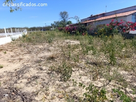 Terreno de 1.300m² com Mirante Serra Santana R$ 70.000,00